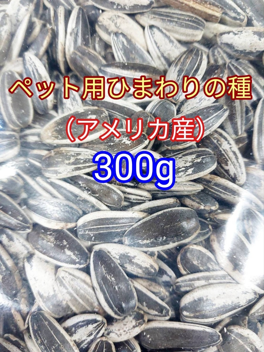 ひまわりの種300g 小動物 インコ ハムスター　アメリカ産_画像1