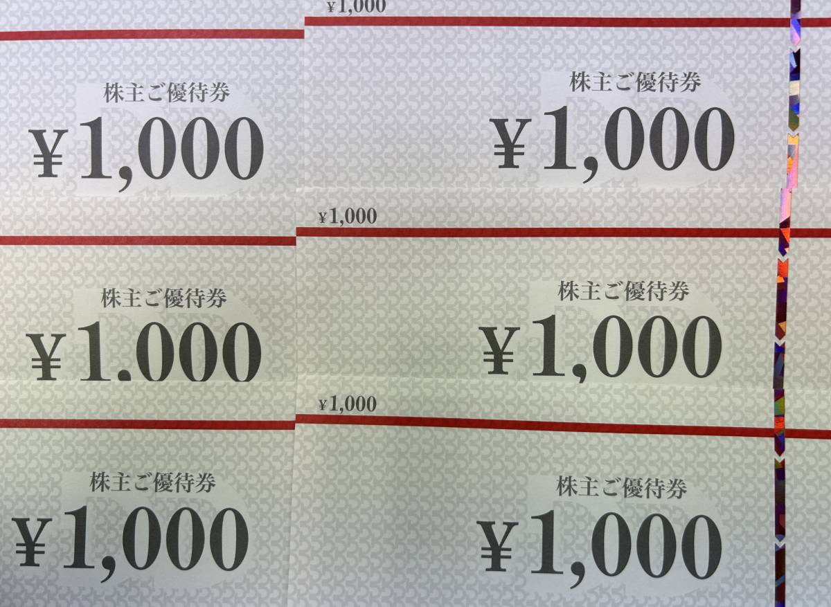 【ネコポス発送】B268　DDホールディングス/株主ご優待券/6000円（1000円×6枚）/有効期限2024年8月31日迄_画像1