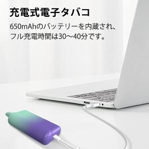 電子タバコ vape 使い捨て 6000回吸引 ブルーベリー・グレープ....._画像6