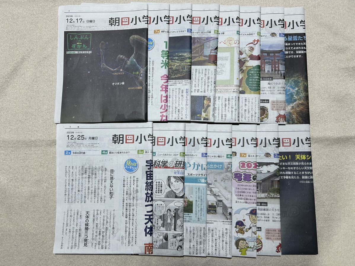 即決　朝日小学生新聞 12/17～12/31まで15日分 天声人語・中学受験・英語・科学・恐竜・時事問題・勉強法