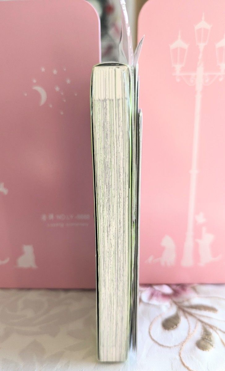 新品 初版 気になってる人が男じゃなかった 1巻 6書店 限定 8P 小冊子 カード 特典 セット アニメイト メロンブックス 