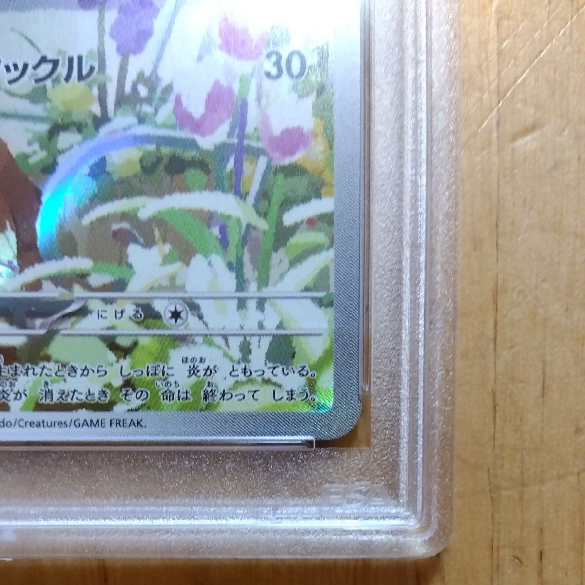 ポケモンカード スペシャルデッキセット 『ヒトカゲ』 AR PSA10