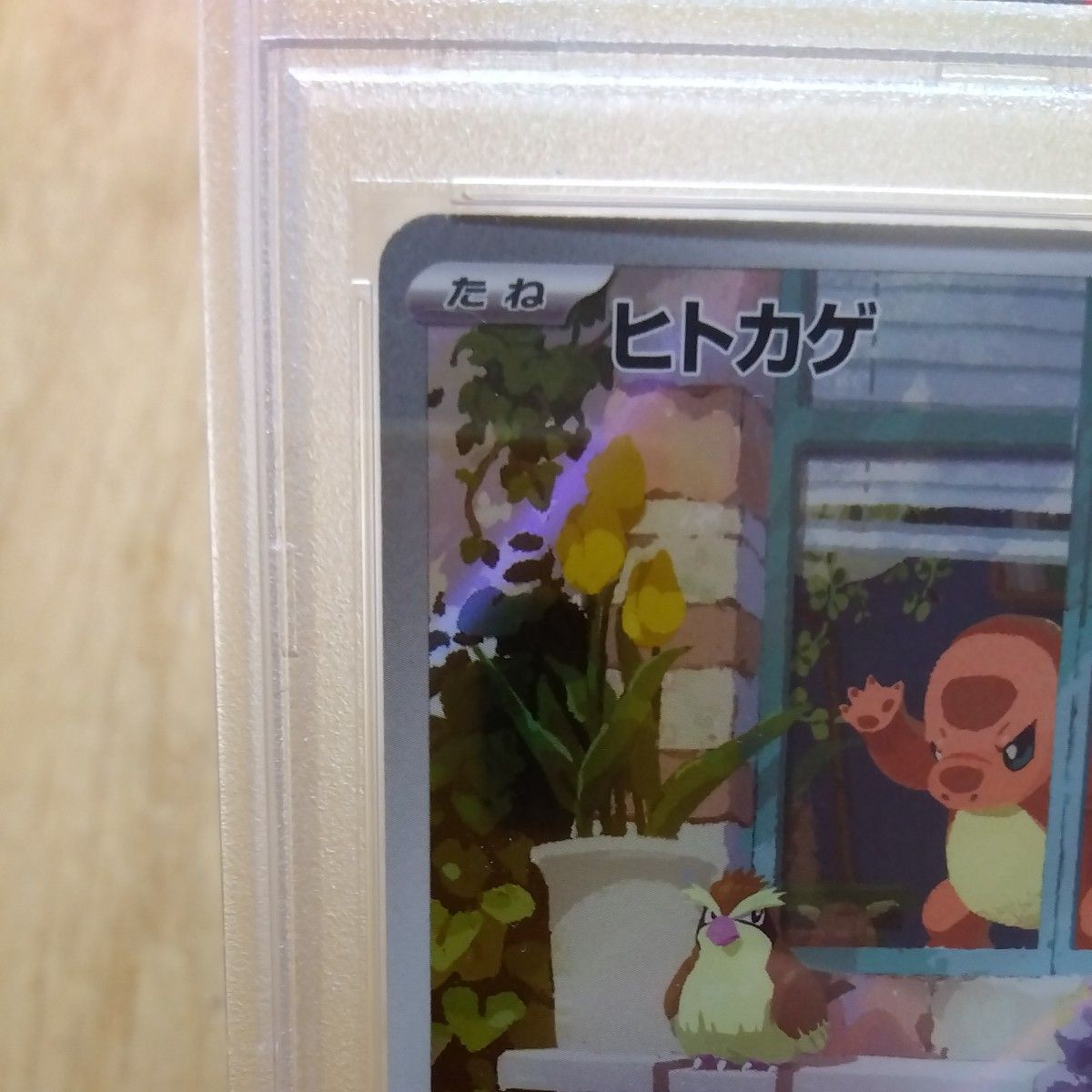 ポケモンカード スペシャルデッキセット 『ヒトカゲ』 AR PSA10 ポケモンカード スペシャルデッキセット 『ヒトカゲ』 AR PSA10