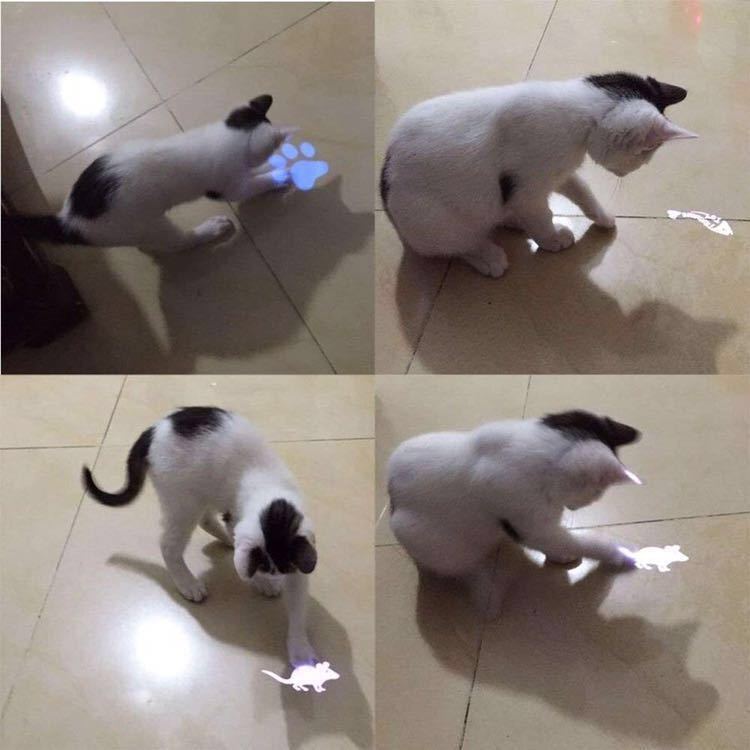 * free shipping new goods for pets LED light pointer beam cat toy ...... cat Chan. motion shortage cancellation . color selection equipped 