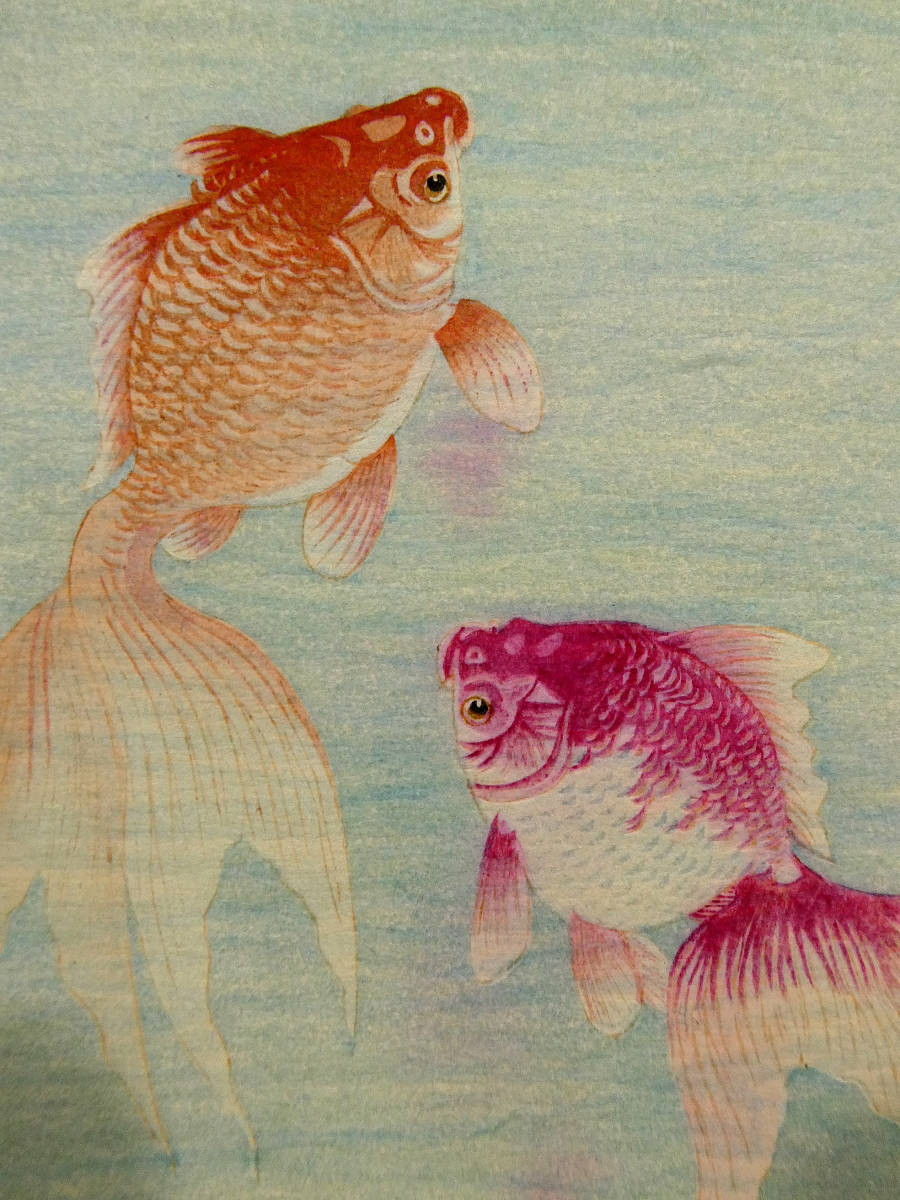 小原古邨◆木版画作品 新版画 金魚◆繊細な表現力 水彩画のようなみずみずしさ◆フェノロサ 渡邊庄三郎◆巴水 吉田博 光逸 井上安治◆祥邨_画像9