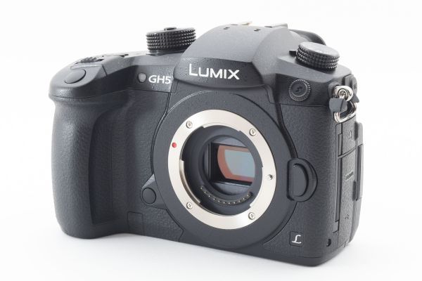 #m7★極上美品★ パナソニック PANASONIC LUMIX RD-SPM049 ボディ（DC-GH5）_画像1