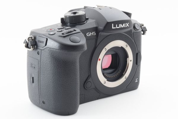 #k210★極上美品★ パナソニック PANASONIC LUMIX RD-SPM049 ボディ