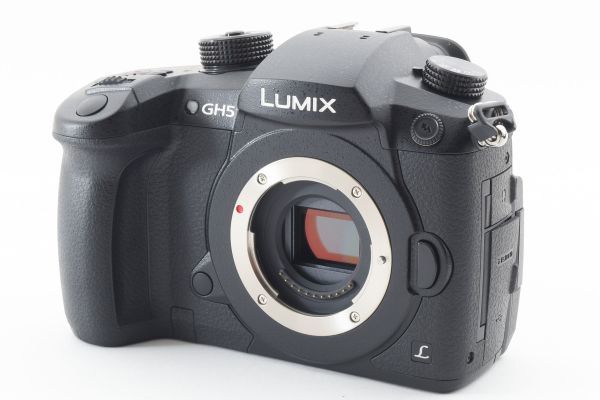 #m162★極上美品★ パナソニック PANASONIC LUMIX RD-SPM049 ボディ（DC-GH5）_画像1