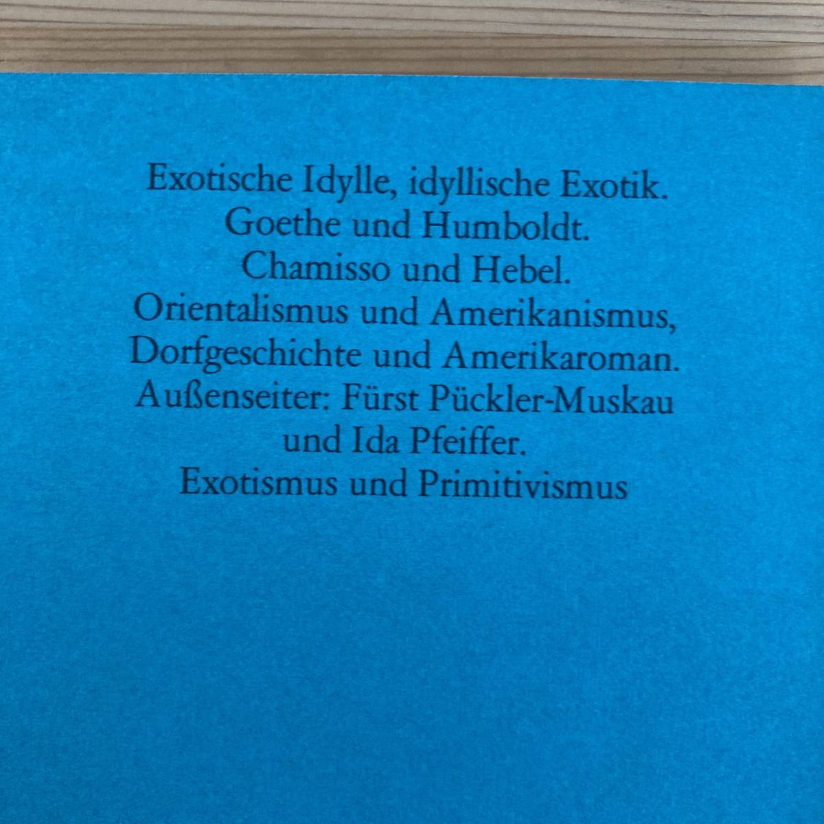 【独語洋書】Die Naehe und die Ferne: Bausteine zu einer Politik des kolonialen Blicks / Hans Christoph Buch（著）_画像2