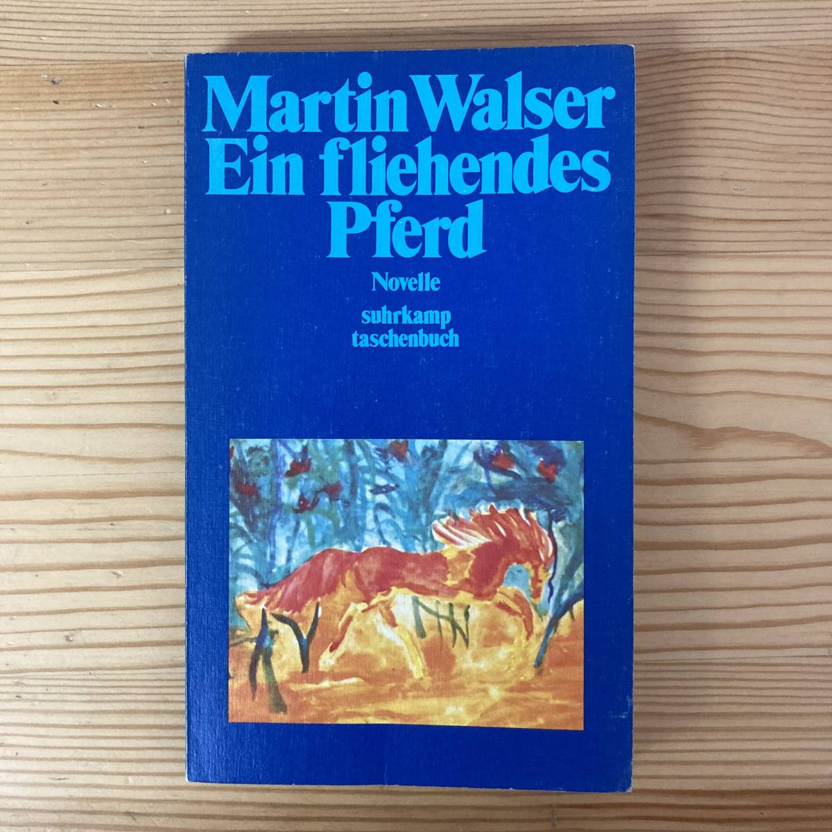 【独語洋書】逃亡する馬 Ein fliehendes Pferd / マルティン・ヴァルザー Martin Walser（著）_画像1