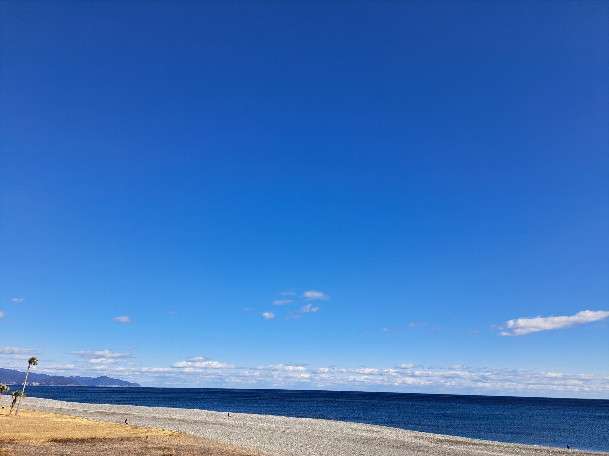 送料込☆最終5キロ☆小玉太田ポンカン☆三重県御浜町阿田和産☆南紀_画像4