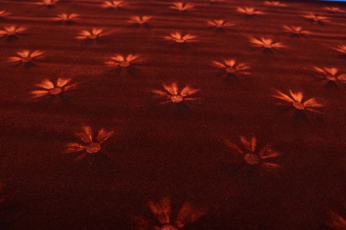  moquette flower Cosmos cloth Brown 1m~