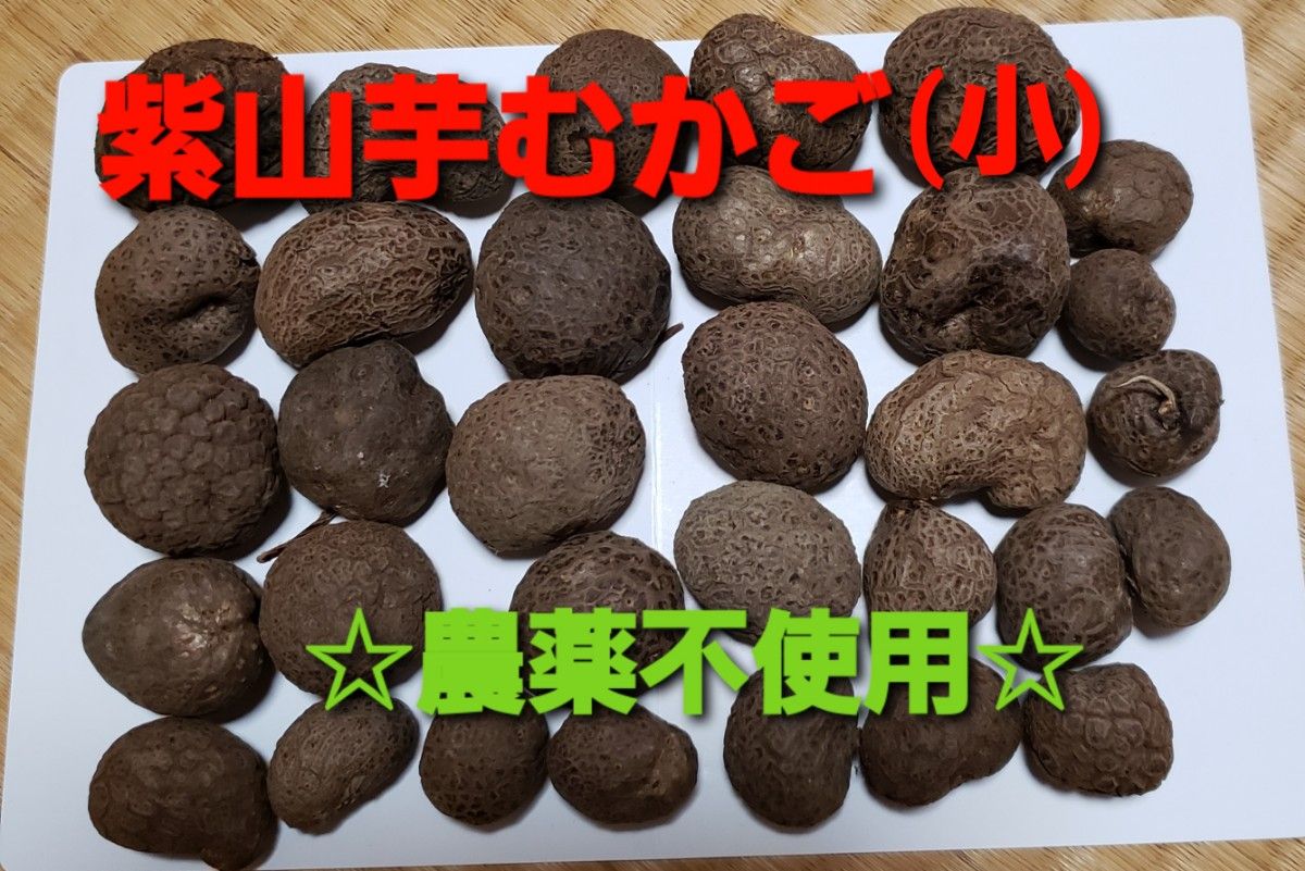 鹿児島県産 種用 紫山芋(紫自然薯)むかご (小)約350g(梱包資材 鹿児島県産 種用 紫山芋(紫自然薯)むかご (小)約350g(梱包資材