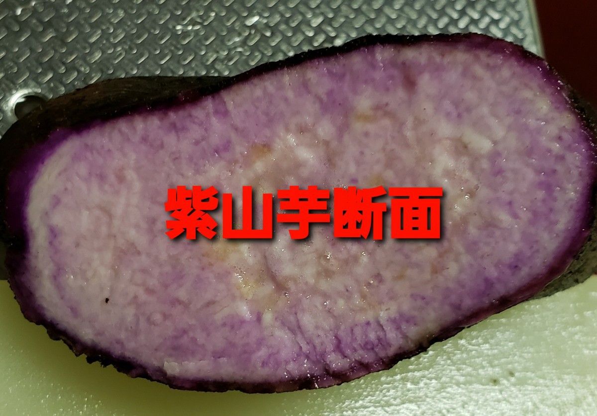鹿児島県産 種用 紫山芋(紫自然薯)むかご 約1 3kg(箱含む) 50個 鹿児島県産 種用 紫山芋(紫自然薯)むかご 約1 3kg(箱含む) 50個