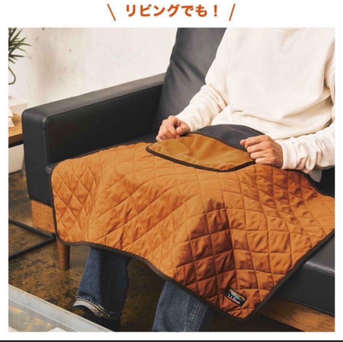 MonoMax12月号付録　 L.L.Bean  ブランケット