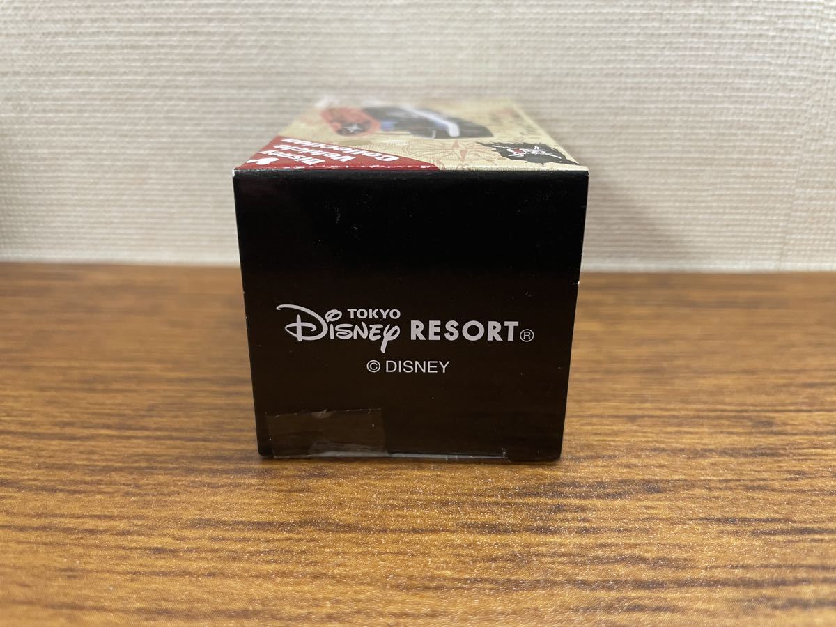 TDR TDS ディズニーシー　2019 パイレーツサマー　トランジットスチーマーライン パイレーツオブカリビアン_画像6