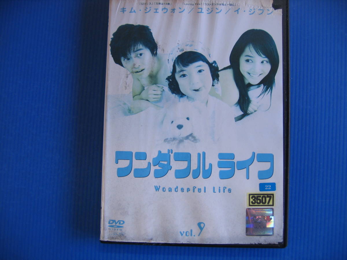 DVD■特価処分■視聴確認済■ワンダフルライフ Vol.9 /ラブ・コメディ＆子育て奮闘記★レン落■No.2772_画像1