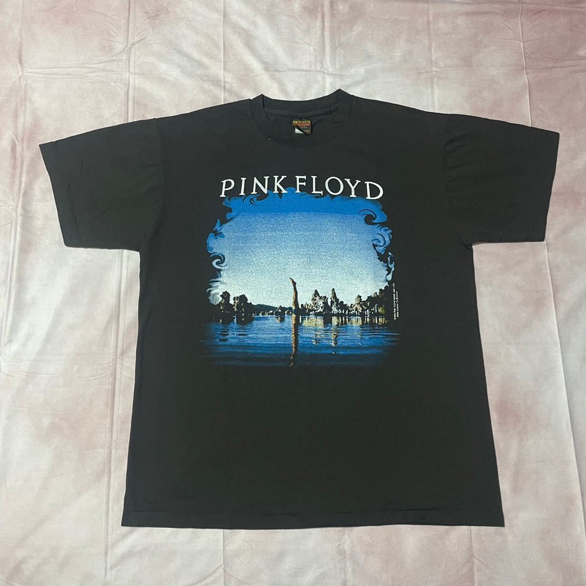 PINK FLOYD Wish You Were HereピンクフロイドTシャツ Lサイズ_画像1