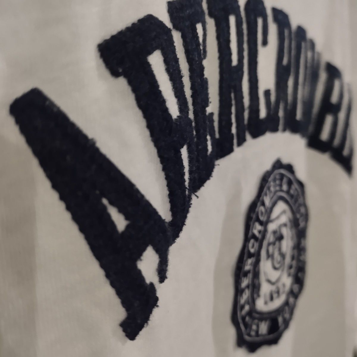 アバクロンビーフィッチ ABERCROMBIE&FITCH Tシャツ 半袖 白 メンズS