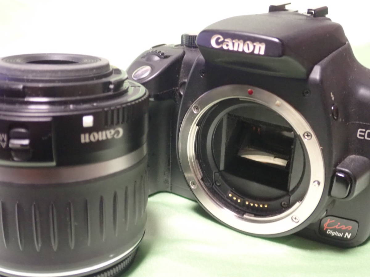 Canon キヤノン　デジタル一眼レフカメラ EOS Kiss Digtal N + EF-S 18-55mm 1:3.5-5.6 USM_画像7