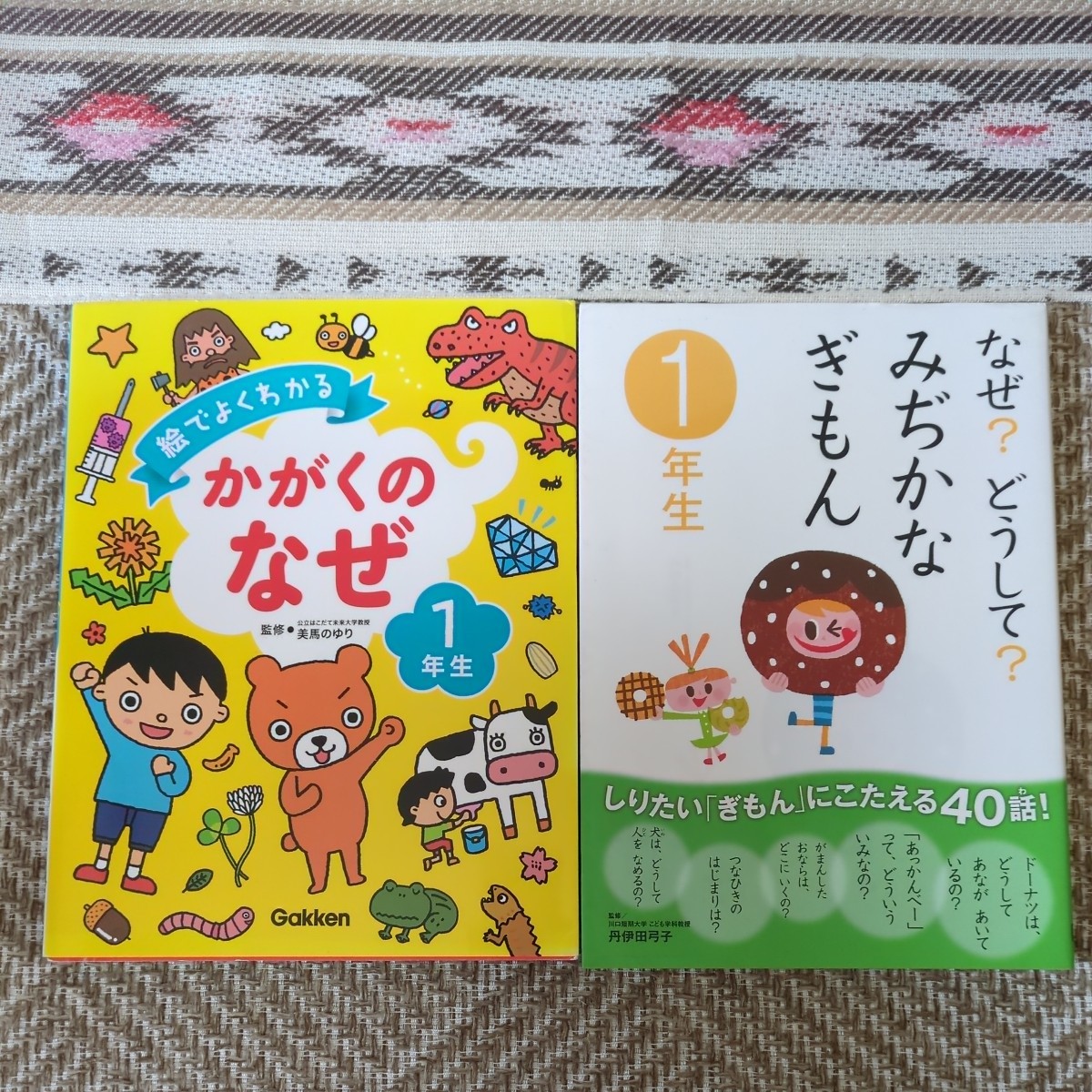 なぜ？どうして？みぢかなぎもん1年生★絵でよくわかる かがくのなぜ1年生　2冊セット_画像1