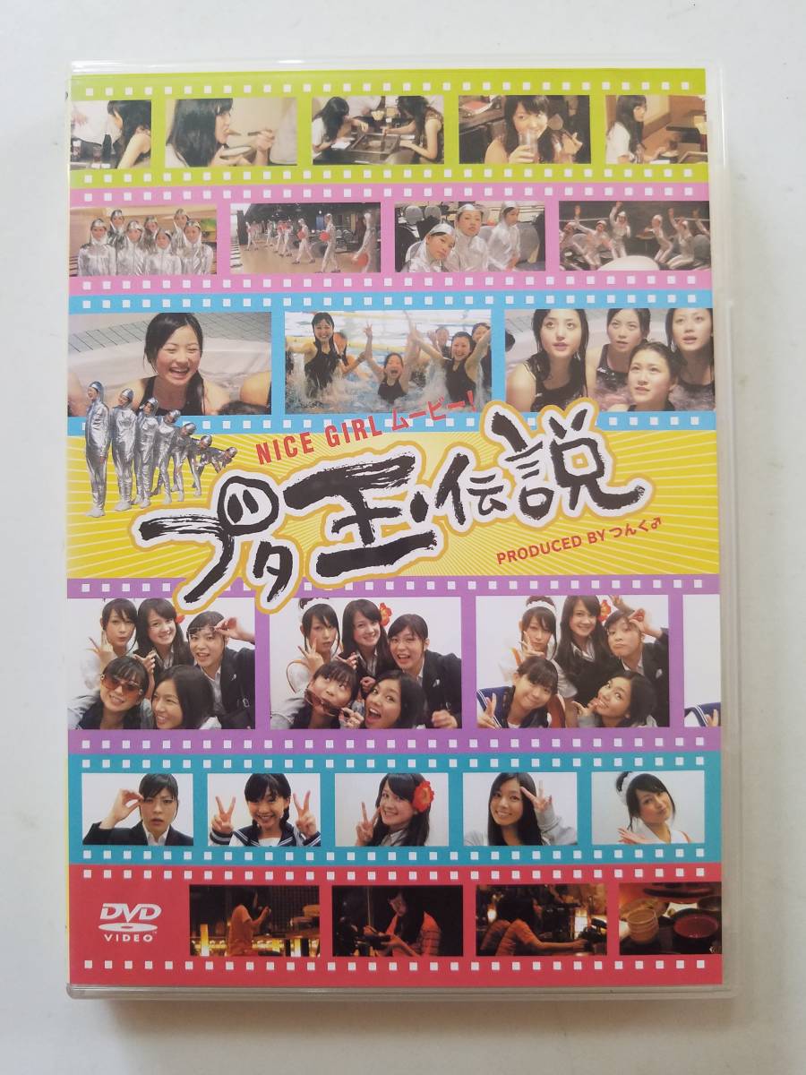 【中古DVD NICE GIRL ムービー!~ブタ玉伝説~ THEポッシボー キャナァーリ倶楽部】_画像1