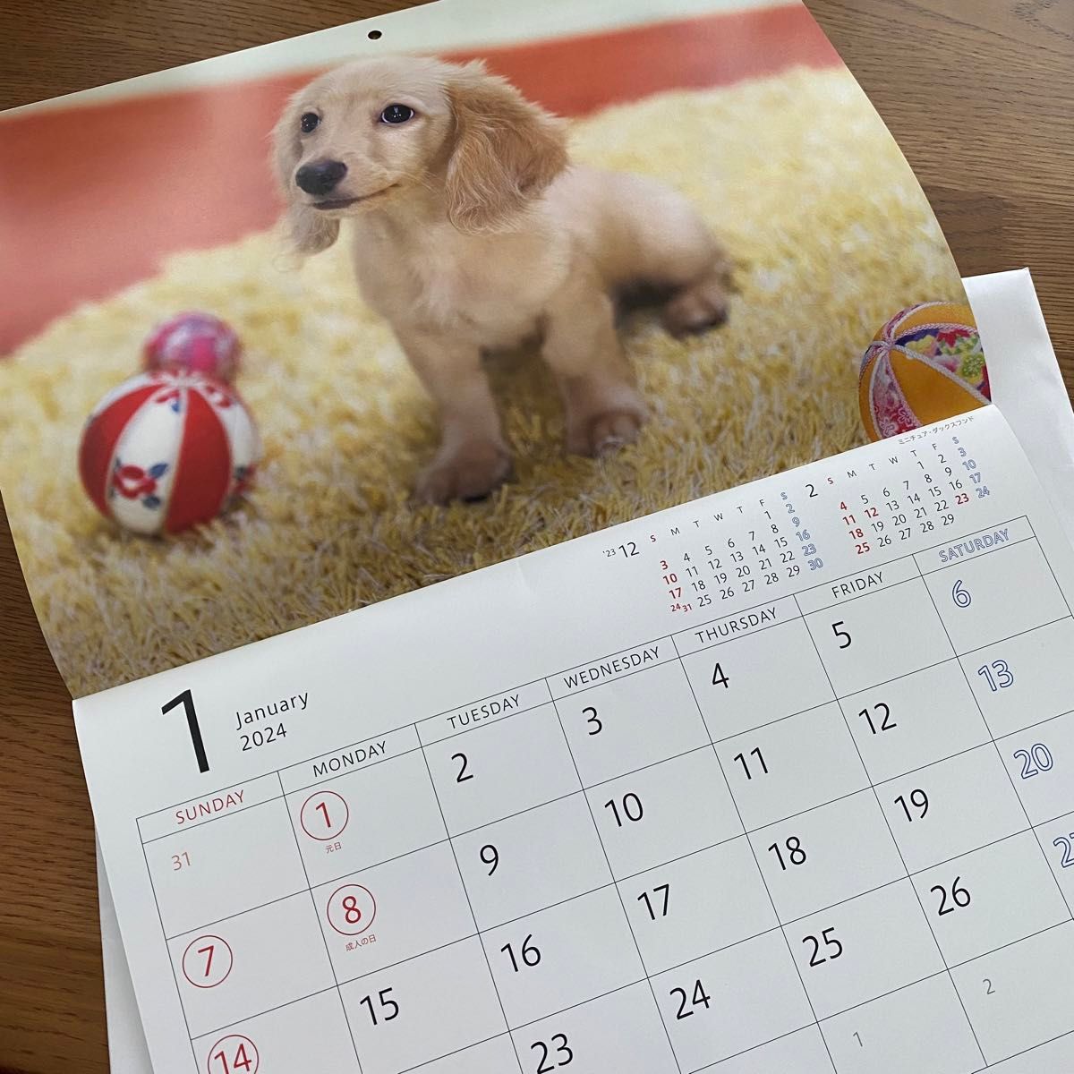壁掛けカレンダー ソニー生命 子犬 ゆかいな子犬たち