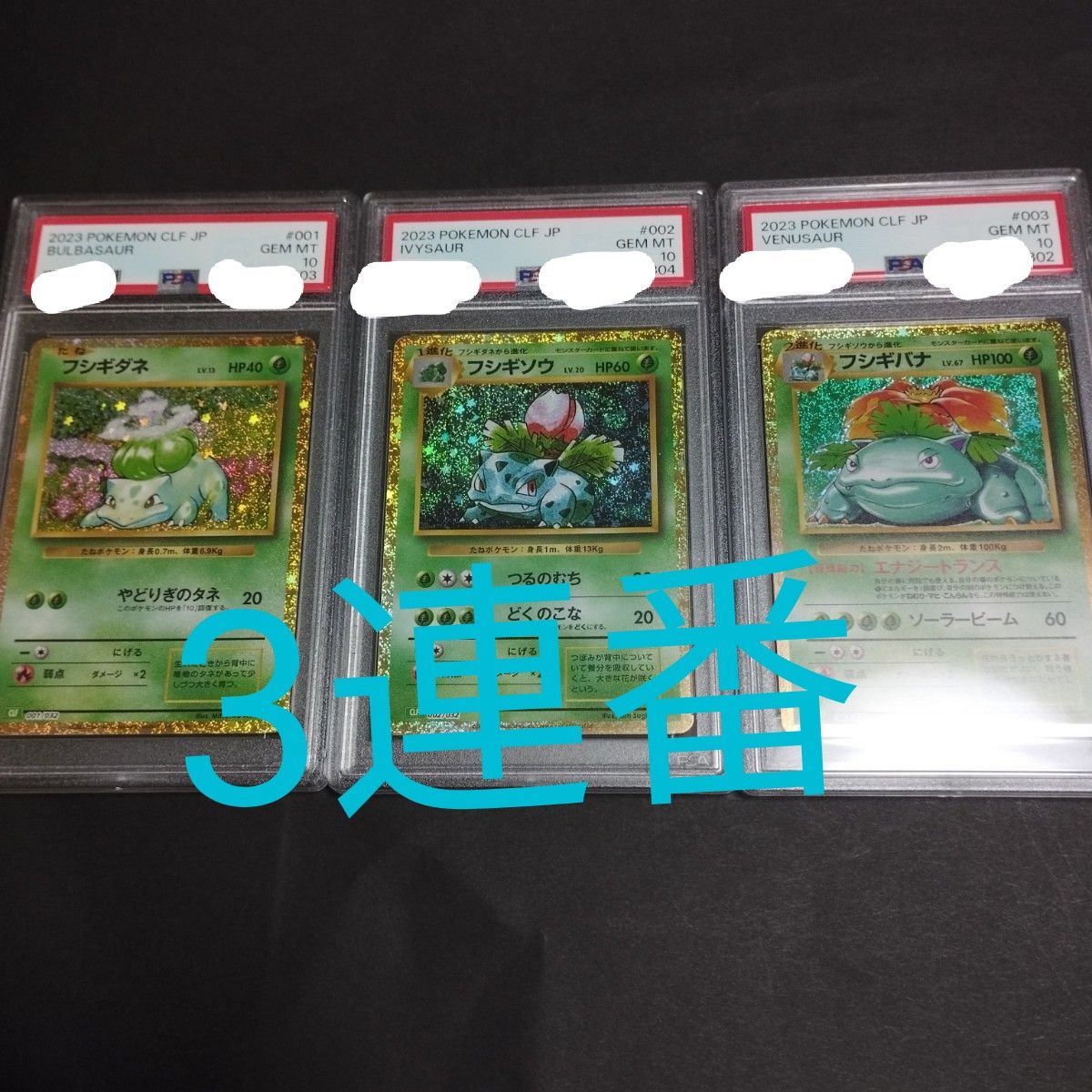 ポケモンカード クラシック PSA10  フシギソウ フシギバナ フシギダネ 3連番  classic