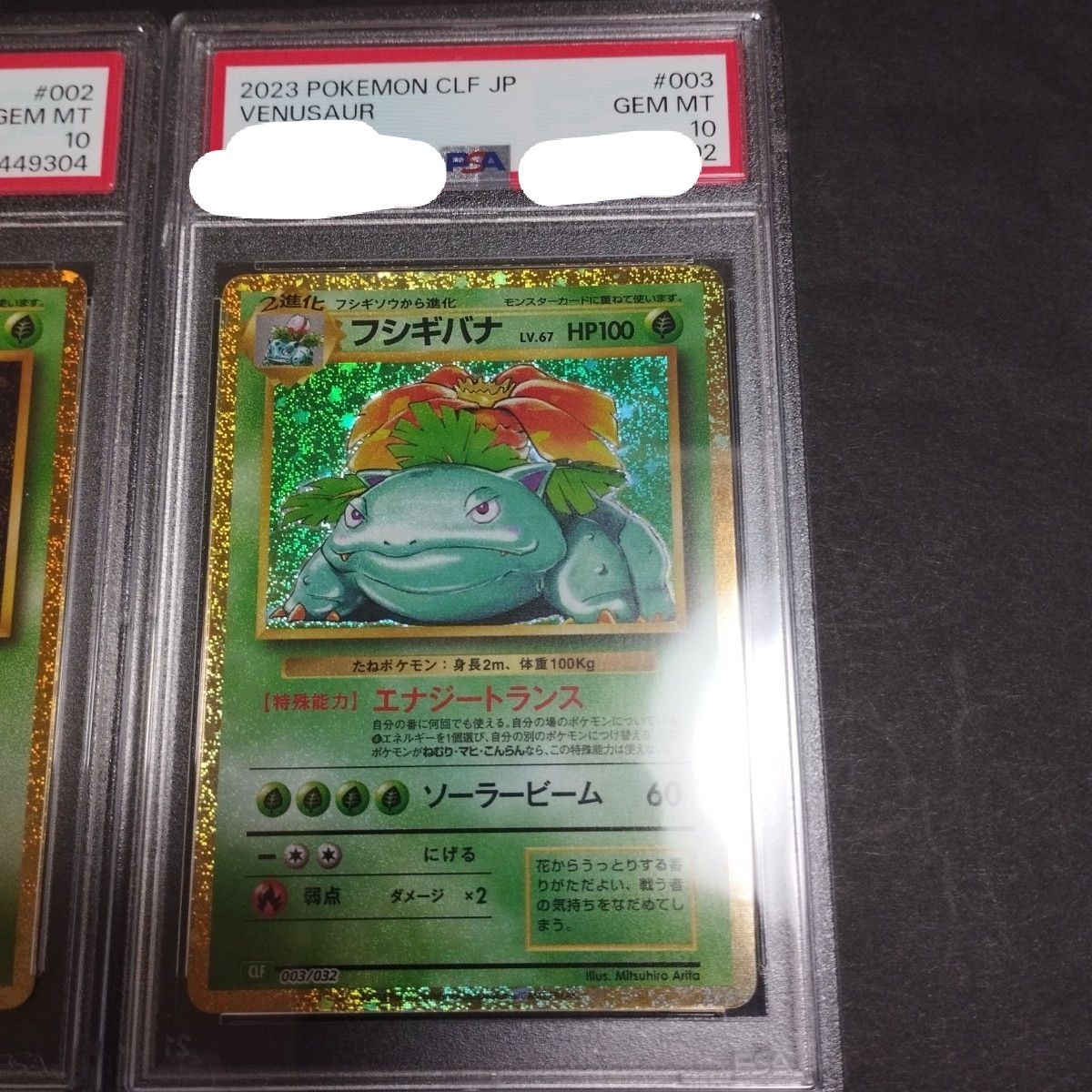 フシギダネフシギソウフシギバナクラシックclasic psa10 連番 フシギダネフシギソウフシギバナクラシックclasic psa10 連番