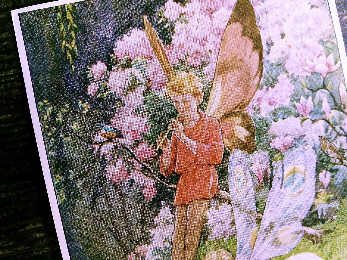 M.W.Tarrant (S)◆U25 マーガレット タラント 子供 イラスト 少女 少年 妖精 アンティークポストカード イギリス ビンテージ 外国絵葉書_画像4