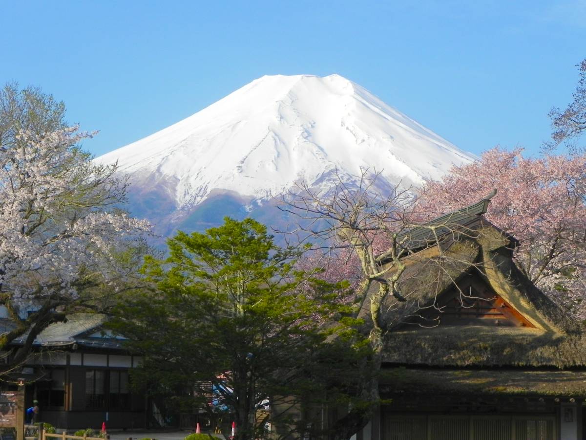 世界遺産 富士山31 写真 A4又は2L版 額付き_画像1