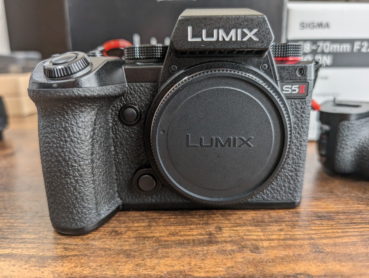 LUMIX S5Ⅱ SIGMA 28-70mm f2.8 バッテリーグリップ_画像8