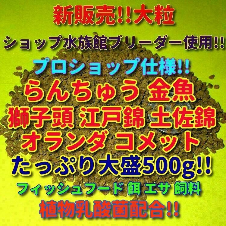 新販売 大粒 餌 たっぷりお徳500g!! プロ仕様! らんちゅう 金魚 獅子頭 飼料 フィッシュフード 熱帯魚 観賞魚 エサ ブリーダーショップ使用_画像5