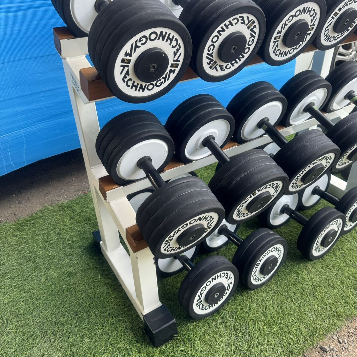 Bibian 比比昂- 【引取限定】TECHNOGYM テクノジム11〜30kg Bibian 比比昂- 【引取限定】TECHNOGYM テクノジム11〜30kg