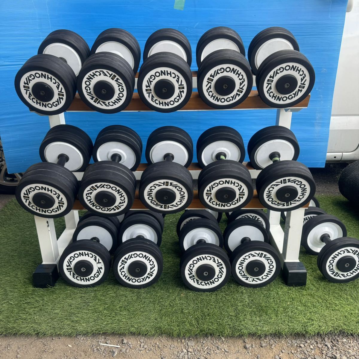 Bibian 比比昂- 【引取限定】TECHNOGYM テクノジム11〜30kg Bibian 比比昂- 【引取限定】TECHNOGYM テクノジム11〜30kg