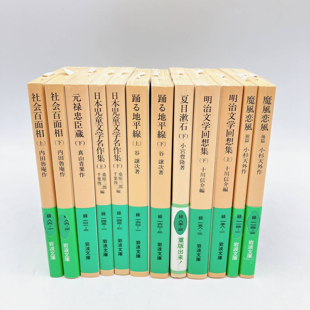 新品【岩波文庫】緑 ５３冊　まとめ売り　小説　踊る地平線/夏目漱石/明治文学回想集/社会百面相/雪/東京日記/山の絵本　他_画像8