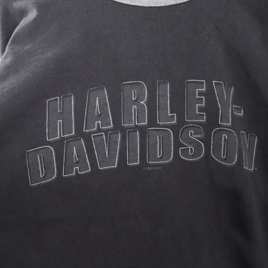 T146 2002年製ビンテージ HARLEYDAVIDSON ハーレーダビッドソン 長袖Tシャツ USA製■00s 表記XLサイズ グレー ロンT 古着 アメカジ 古着卸_画像7