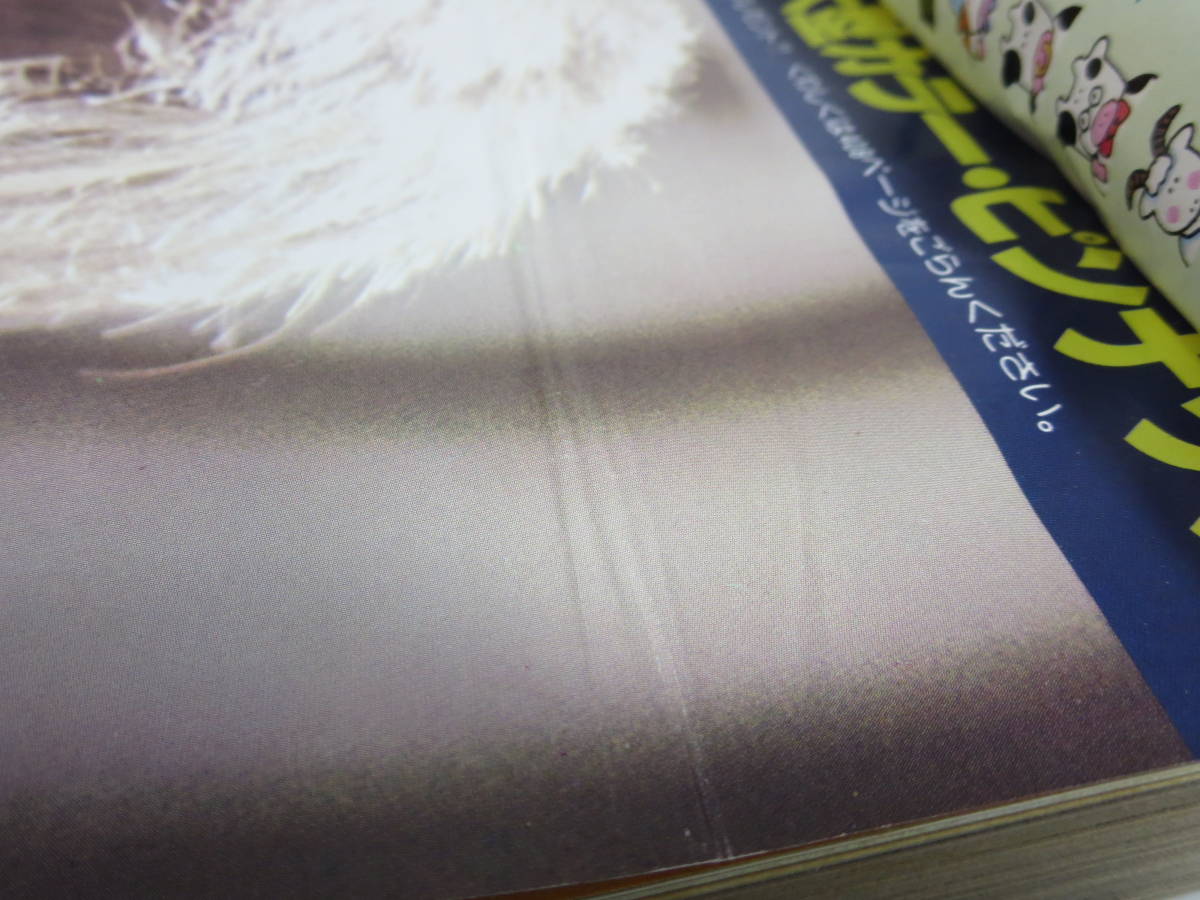 月刊セブンティーン 1978年1月号 新年特別号 とじ込みポスターにシワ／表紙裂傷あり サラダっ娘 オルフェウスの窓 エル・アルコン の画像8
