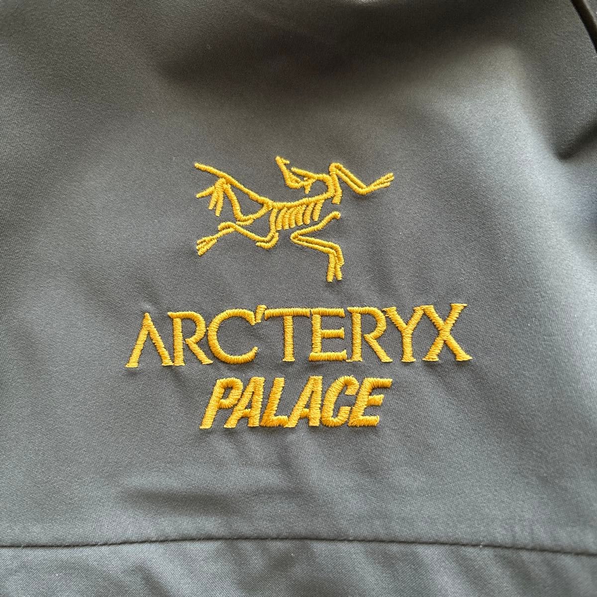 Palace Arc'teryx Alpha SV Jacket|Yahoo!フリマ(旧PayPayフリマ) Palace Arc'teryx Alpha SV Jacket|Yahoo!フリマ(旧PayPayフリマ)
