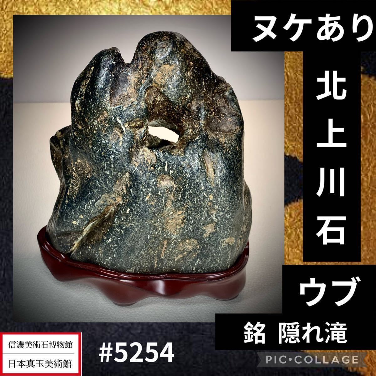 【年始初売り】 水石盆栽 北上川石 ウブ 『隠れ滝』 横13×高15.5×奥行7(cm) 1.64kg 骨董盆石鑑賞石観賞石太湖石 5254_画像1