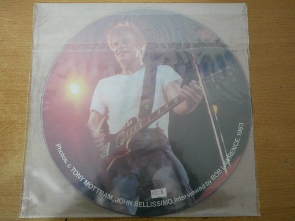 U2-165＜12inch/ピクチャー盤/新品未開封＞ブライアン・アダムス Bryan Adams / Red Door Interview Disc_画像2