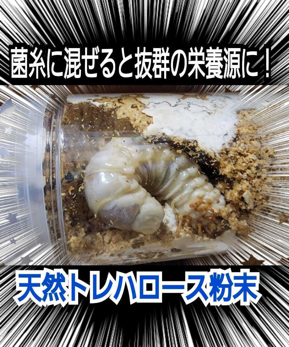 クワガタ・カブトムシ専用栄養添加剤　トレハロース粉末　マットや菌糸・ゼリーに混ぜるだけ！サイズアップ、産卵促進、長寿効果抜群です！_画像10