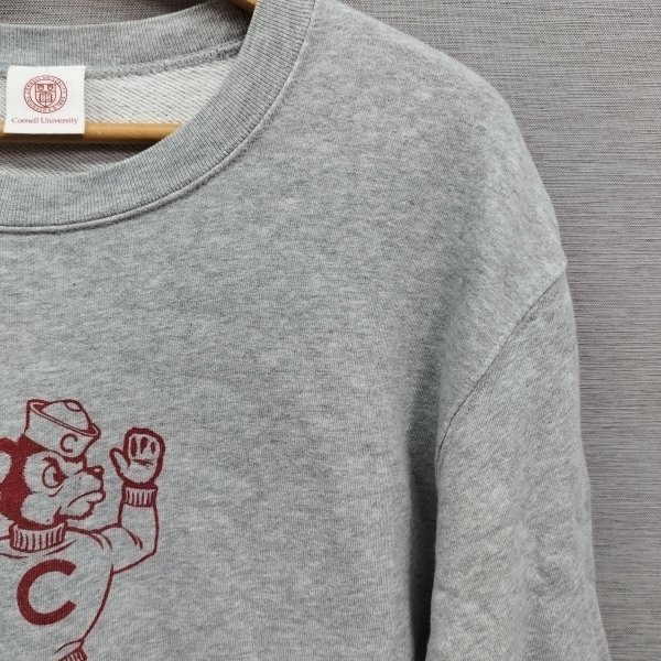 Z89 Cornell University コーネル大学 PAR ICI パーリッシィ スウェット クルーネック アイビー 古着 トレーナー 熊 プリント サイズ M_画像5