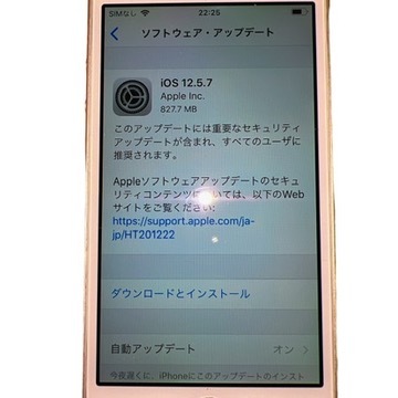 【美品】iPhone 5S 16GB シルバー 動作品 付属品なし Docomo/ネットワーク制限◯_画像7