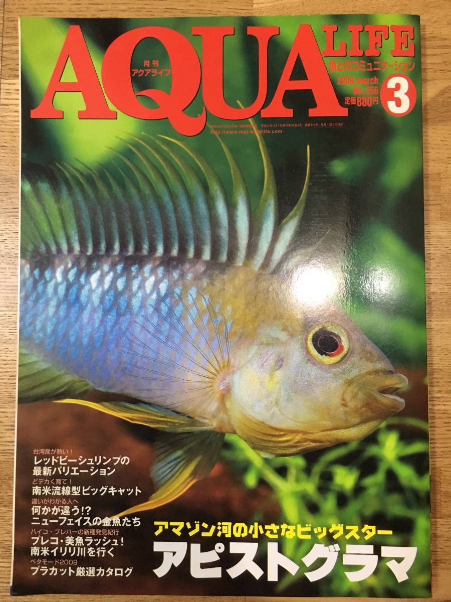  aqua жизнь 2009 год 3 месяц номер a piste g лама специальный выпуск - Red Bee Shrimp большой кошка Plecostomus 