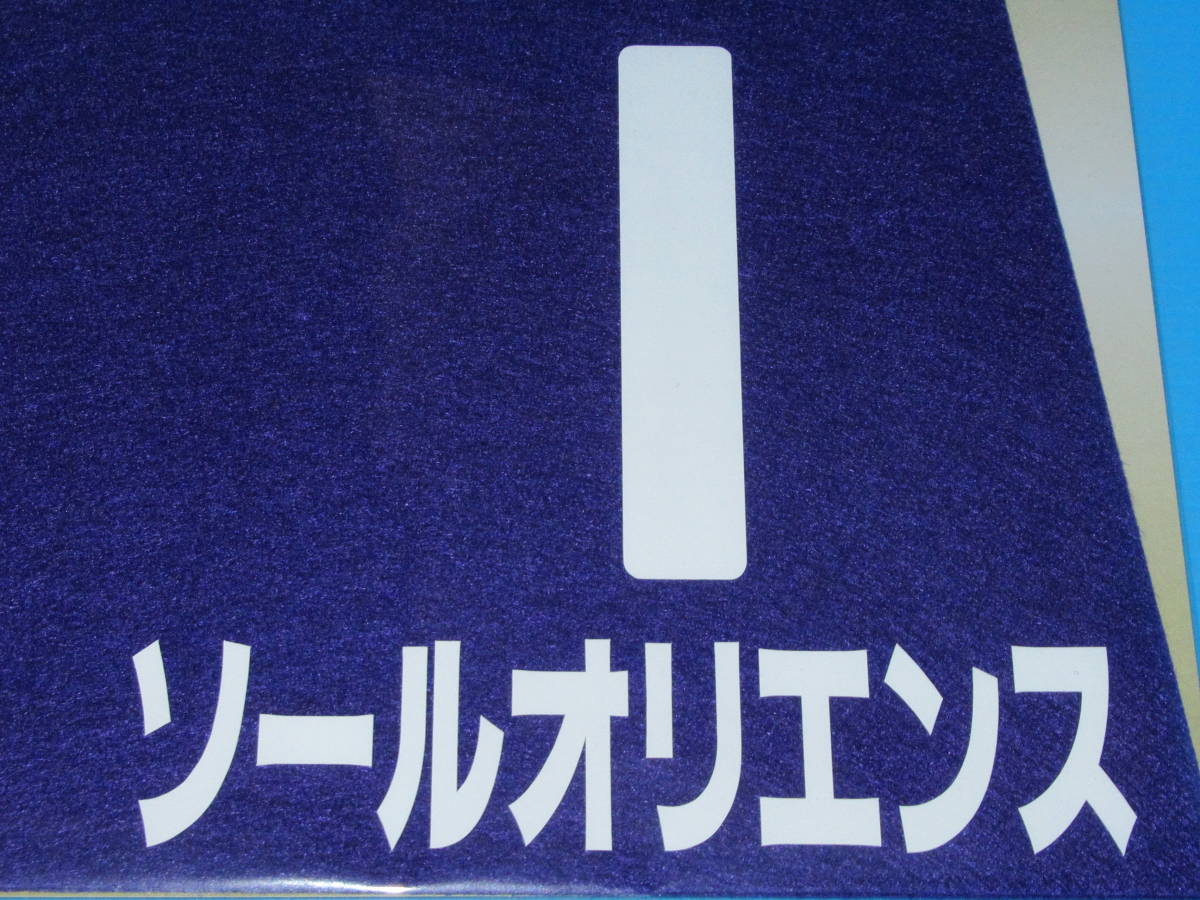 匿名送料無料 ★第68回 有馬記念 GⅠ ソールオリエンス ミニゼッケン 18×25センチ ☆JRA 中山競馬場 限定販売 川田将雅 ☆★即決！ウマ娘_画像3