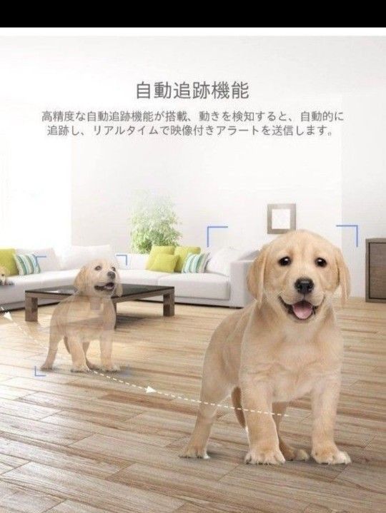 防犯カメラ 1080P 屋内 監視カメラ WiFi ネットワークカメラ ペットカメラ ベビー 老人 ペット 見守り ウェブカメラ 