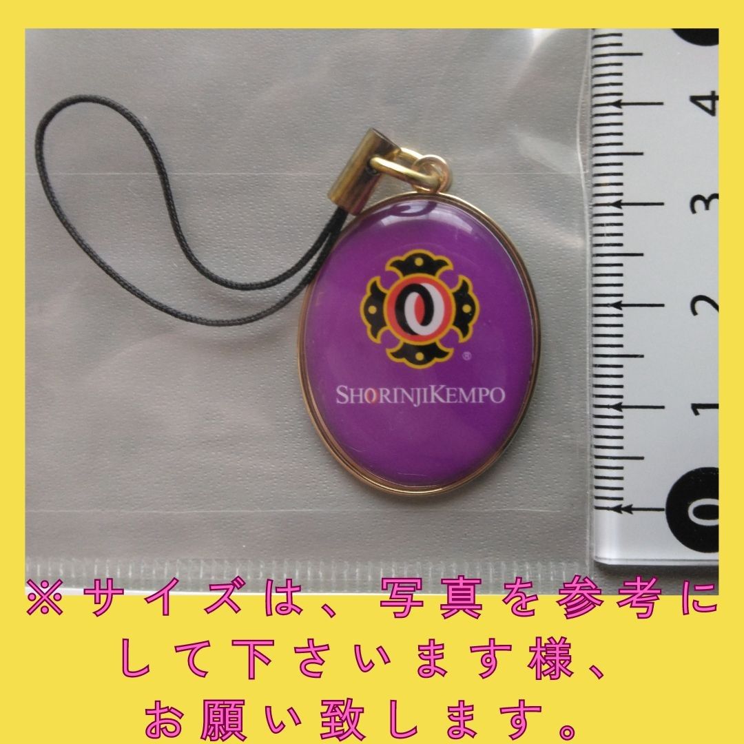 お歳暮 のし 少林寺拳法 ストラップ キーホルダー 新品未使用 1個 その他