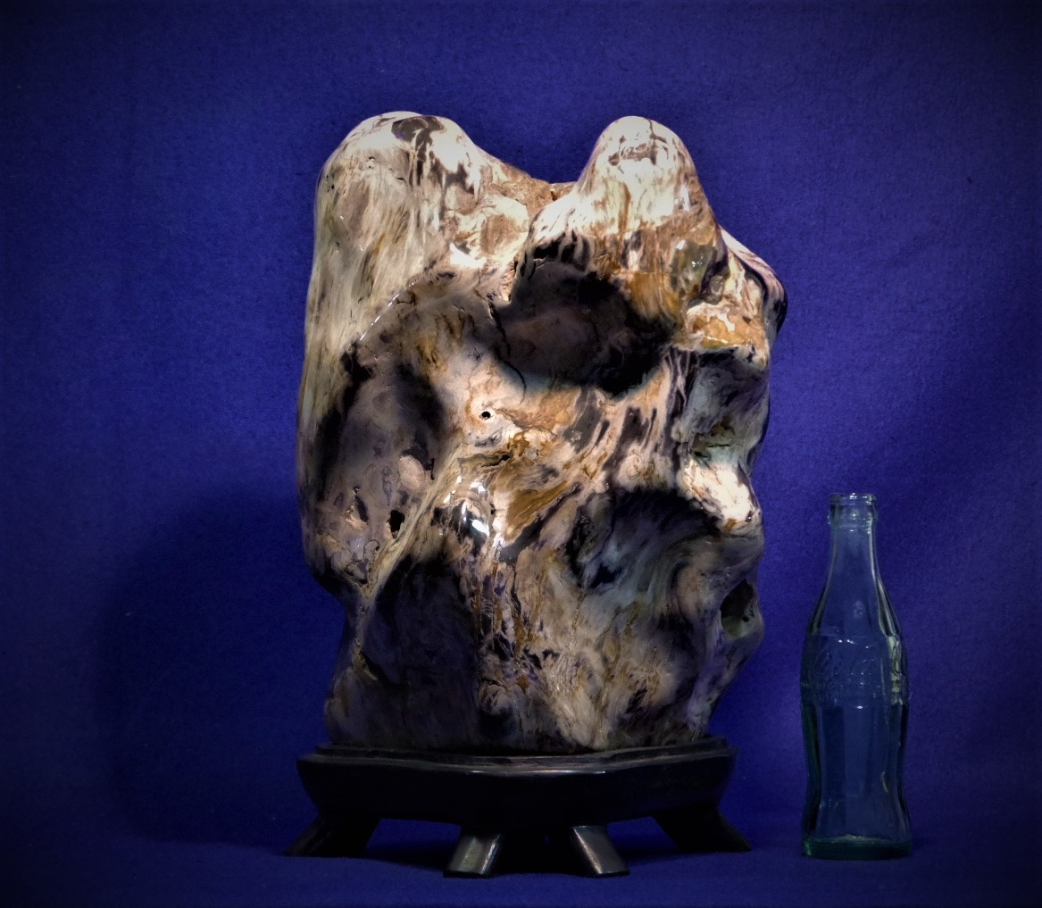 特別価格 珪化木　木化石　石標本　飾り石　磨き　23㎏　高33㎝ 化石