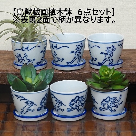  soba sake cup type plant pot birds and wild animals .....6 piece succulent plant cactus planter plant pot 